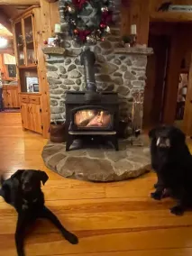 Dog-Friendly 5 Bedroom Log Cabin with Hot Tub in the Heart of Southern Maine  - Image 2