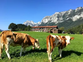 Lägenhet Bergsteigerstubn, 1-2 personer, 29 qm, dusch / toalett, balkong, SAT-TV, W-LAN, vardagsrum - Image 5
