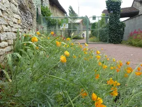 R-D-T - MARTAIZE - Gîte - Image 5