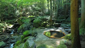Tsuchiyu Bettei Satonoyu - Image 4