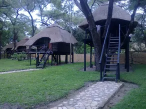 The Tree Lodge at Sikumi - Image 2