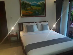 Cozy small Villa in the middle of lush jungle view - Image 3