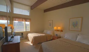Ski/MTB/Golf Condo (#132) - Slope side | Mountain, golf course views | Vaulted ceilings! - Image 3