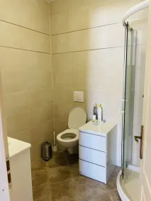 Appartement T3 en RDC de Villa - Image 4