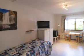 One-room apartment with mini-kitchen and balcony - Image 3