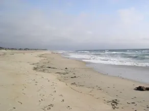 Beach House Located On the Beautiful Monterey Bay - Image 3