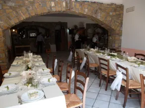 fazenda de eucalipto - Image 4