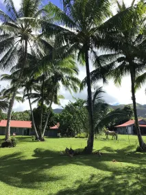 JJs Hāna Hale - Farm House - Image 4