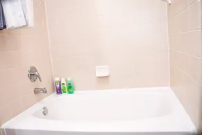 Paying pet friendly Luxury apartment with pool and gym - Image 3