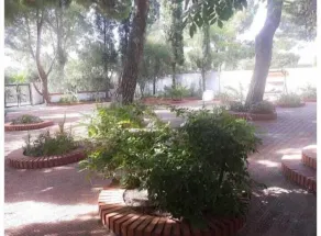 Villa il Glicine - Image 4