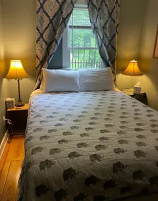 3 acres of privacy! Biking, Pups &  Walking: Nirvana! 7 minutes to hip 3 Oaks! - Image 5