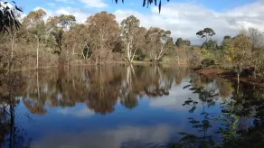 Arda Cluggen - Near Daylesford - Image 5