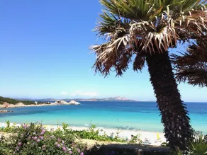 Small Cozy House with garden in Costa Smeralda - Image 5