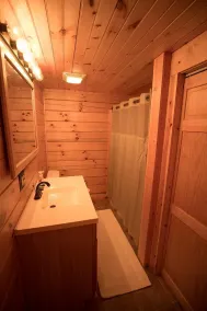 Gorgeous, tree top views from this cabin - Image 3