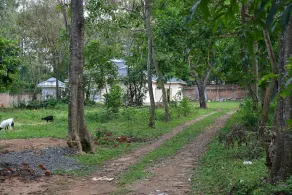 Bungalow with lush garden on the highway - Image 4