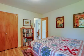 Living Color - Updated, Private Mid-Century in a Quiet, Convenient Neighborhood! - Image 5