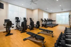 Sheraton Vistana Villages (2BR) - Image 3