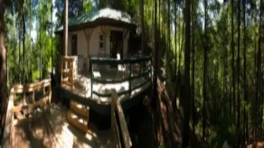 Peaceful Nest / Nirvana Amidst Trees - Image 5