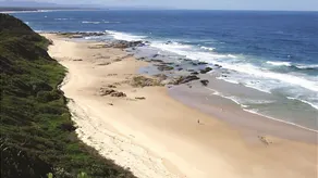 Pacific Studio - Nambucca Heads - Image 4