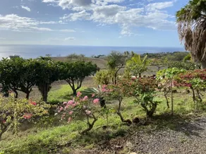 Studio Kohala Big Island Ocean Views - Image 3