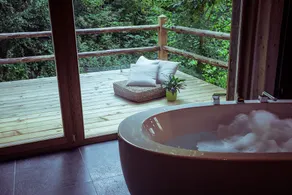 Historic farmhouse with sauna, pond and hot tub - Image 3