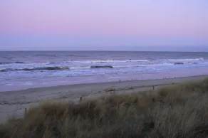 New holiday home by the forest. Baltic Sea in 2 minutes. Achterwasserblick. - Image 5