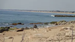 Retraite à la plage avec laissez-passer pour la plage fournis - Image 4