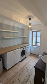 Tagarine Agapanthus - Image 2