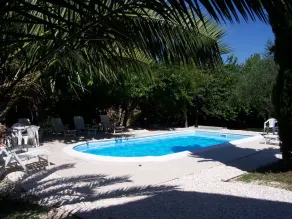The Mulberry in Solebello - Image 5