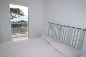 Royal Palm - Image 5