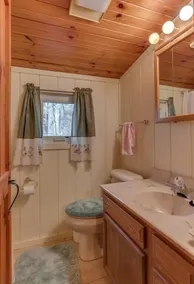 Bear Creek Cabin | Umgeben von Natur | 25 min. bei TIEC | 40 min. nach Asheville - Image 3