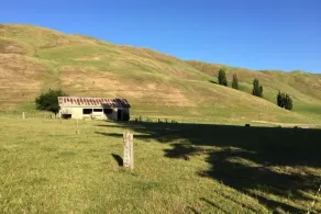 Savana Estate - Image 3