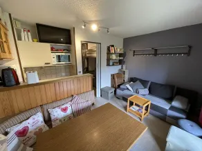 Cozy cabin studio at the slopes, pets allowed - Image 4