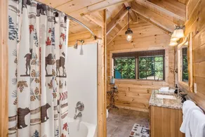 Luxurious Log Cabin on Kerr Scott Lake - Image 5
