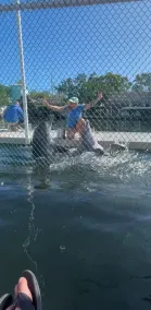 Ocean Front Views with Boat Dockage Dolphin Encounter Easy Fishing - Image 2