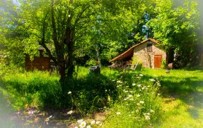 Cottage - Peaceful and nature - Image 5
