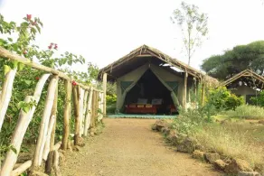 Kimana Amboseli Camp - Image 4