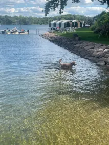 Lake house with all the amenities, sauna, steam showers, heated floors, Josh AI, - Image 3
