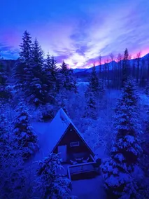 Unique stay just outside of Seward, AK - Image 5