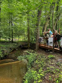 4 Seasons Glamping @ Alpine South - Image 5