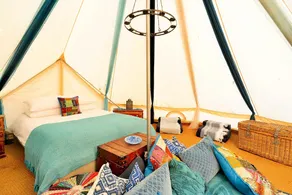 Romantic Glamping Woodland Escape, No Deposit - Image 4