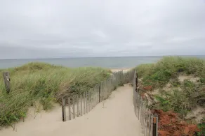 Beachland G - Image 3