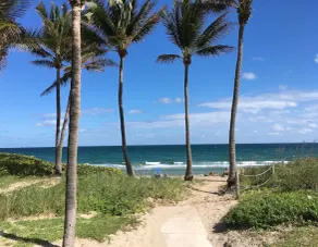 Beautiful Beach-side Studio, steps from beach - Image 5