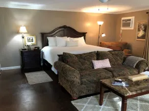 Cozy Cajun Suite / LSU tigers💜💛 - Image 3