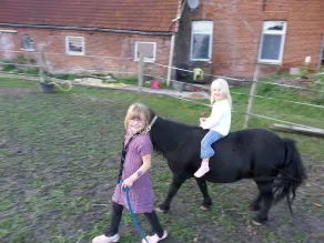 Holidays with pony rides, WiFi, TV, dishwasher, oven - Image 3