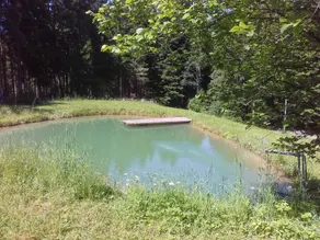 Time-out living in the middle of the Bavarian Forest in an absolutely secluded location - Image 2