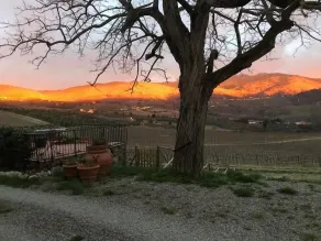 Azienda Agricola Il Poggiolino - Image 3