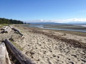 Pet Friendly 2 bedroom plus loft, in Parksville's beautiful resort area - Image 5