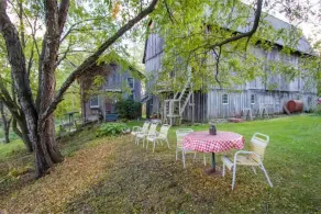 Nature-lover's dream! Rustic barn apartment on 150 acres, close to Skaneateles. - Image 4
