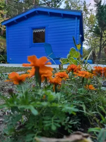 La Petite Maison du Bout du Jardin - Image 5